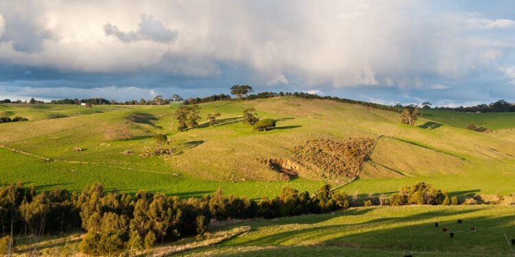 Arsa Payı Uyuşmazlıkları: Kesin Hukuki Çözümler ve Güvenceli Haklar