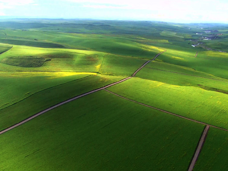 Arsa Payı Yatırımında Önemli Fırsatlar!